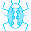Bug  Icon