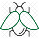 Bug  Icon