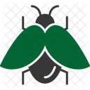 Bug  Icon