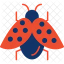 Bug  Icon