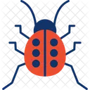 Bug  Icon