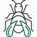 Bug  Icon