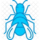 Bug  Icon