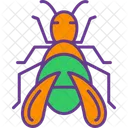 Bug  Icon