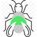 Bug  Icon