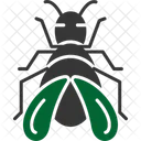 Bug  Icon