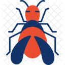 Bug  Icon