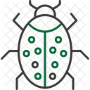 Bug  Icon