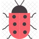 Bug  Symbol