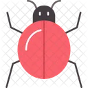 Bug  Symbol