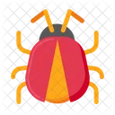 Bug Insect Ladybug Pest Insect Icon