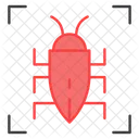 Bug Scanning  Icon