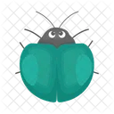 Ladybug Beetle Bug Icon