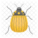 Ladybug Beetle Bug Icon