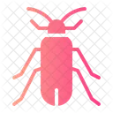 Bugs Bug Insect Icon