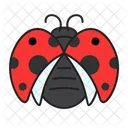 Bugs Insect Ladybug Icon