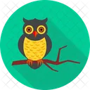 Buho Animal Pajaro Icon