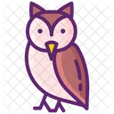 Owl Ecologia Naturaleza Icono