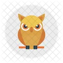 Owl Educacion Animal Icono