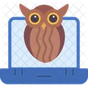 Owl Portatil Ordenador Icon