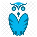 Owl Halloween Educacion Icono