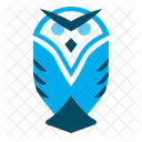 Owl Halloween Educacion Icono