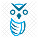 Owl Halloween Educacion Icono