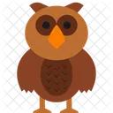 Animal Buho Bosques Owl Icono