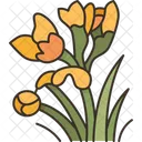 Bulbine Flower Blossom Icon