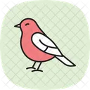 Bulbul Bird Songbird Icon