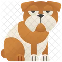 Buldogue  Ícone