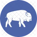Bull Mammal Ox Icon