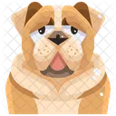 Bull Dog  Icon