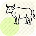 Bull Standing Still Bull Standing Icon