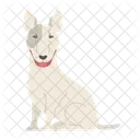 Bull Terrier  Icon