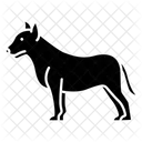 Bull terrier  Ícone