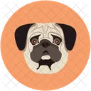Bulldog Pet Human Icon