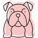 Bulldog Perro Mascota Icono