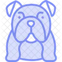 Bulldog Perro Mascota Icono