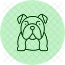 Bulldog Perro Mascota Icono