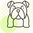 Bulldog Perro Mascota Icono