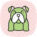 Bulldog Perro Mascota Icono