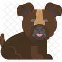 Bulldog Muscular Mammal Icon