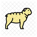 Bulldog British Dog Terrier Icon