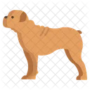 Bulldog Dog Animal Icon