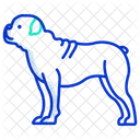 Bulldog Dog Animal Icon