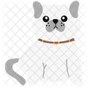 Bulldog Dog Pet Icon