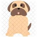 Bulldog Dog Pet Icon