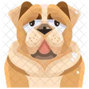 Bulldogge  Symbol