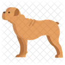 Bulldogge  Symbol